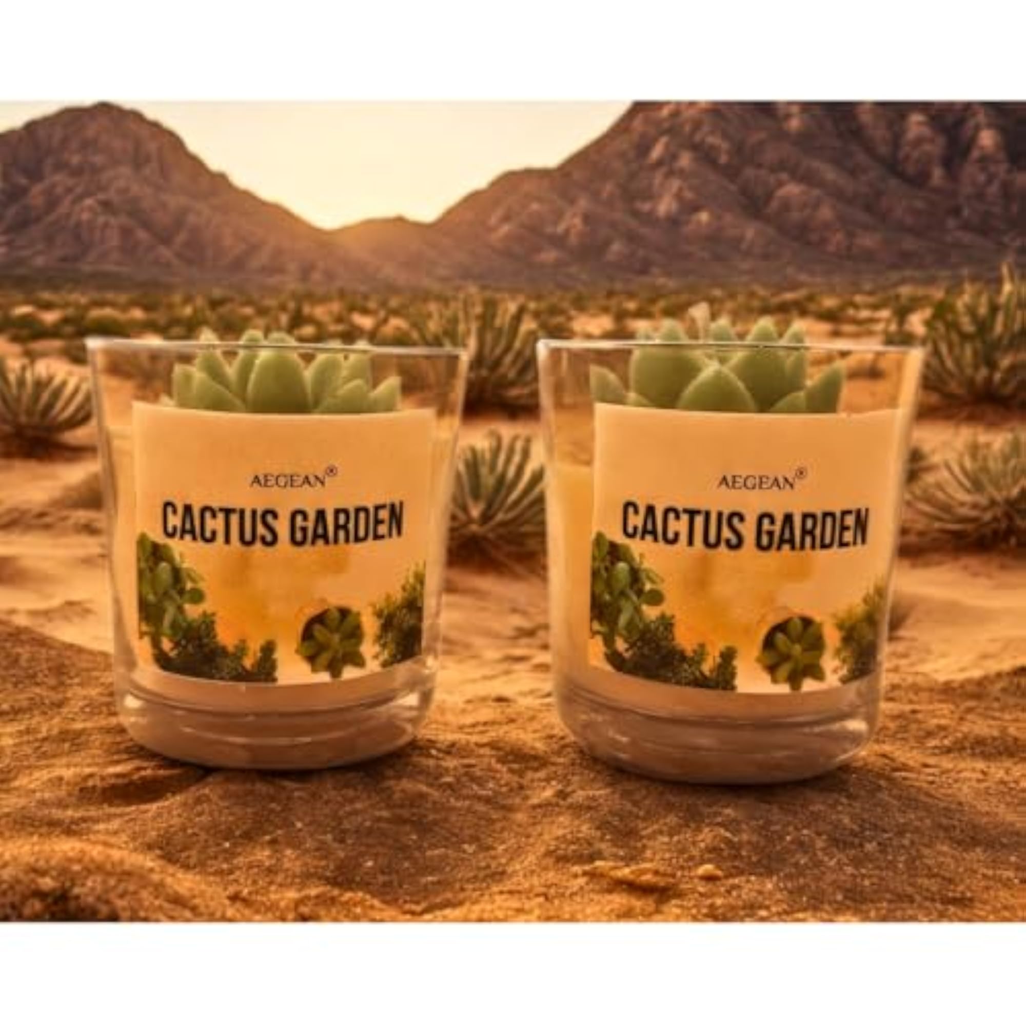 Aegean Cactus Garden Candle